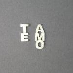 Te Amo Earrings - Sterling Silver Studs - I Love..